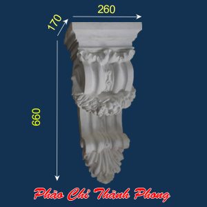 Con bọ xi măng TP-CBX16